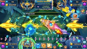 s11 com login